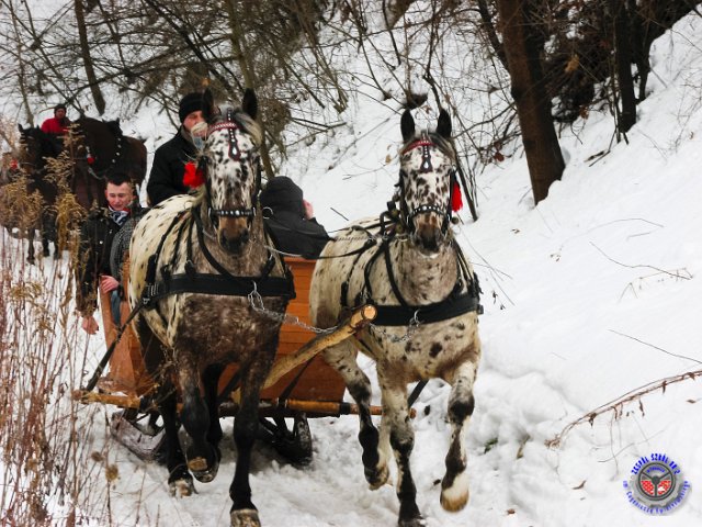 kulig-04.jpg - Fot: G. Borucz