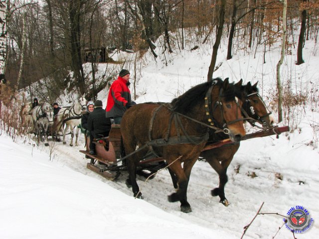 kulig-07.jpg - Fot: G. Borucz